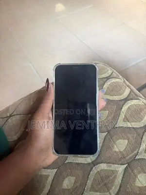 Apple iPhone 12 (Used)