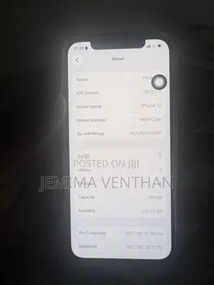 Apple iPhone 12 (Used)