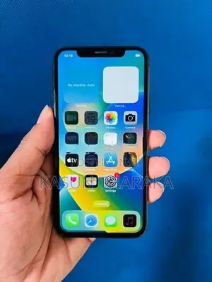 Apple iPhone X 256GB (Used)