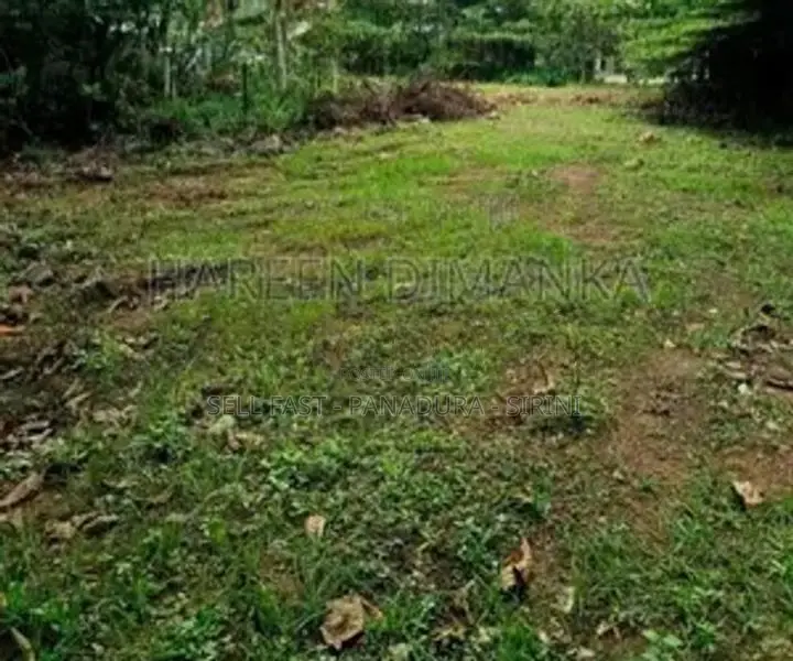 Land with Old House for Sale Matara