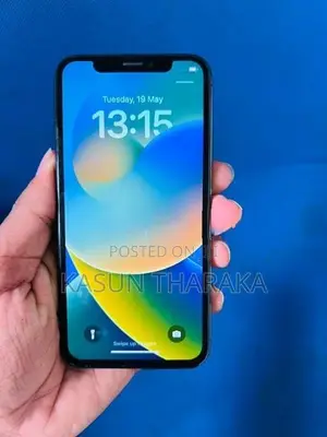 Apple iPhone X 256GB (Used)