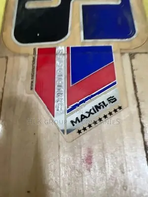 SS Grade 1 English Willow Cricket Bat