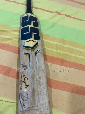 SS Sky Stunner EW Cricket Bat