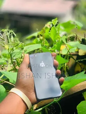 Apple iPhone 8 (Used)