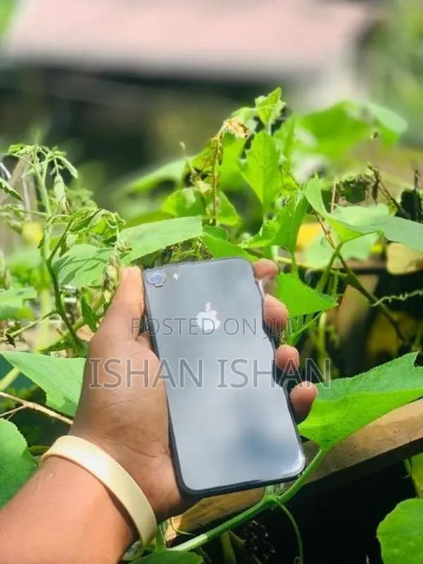 Apple iPhone 8 (Used)