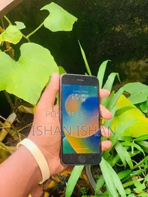 Apple iPhone 8 (Used)