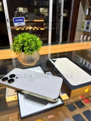 Apple iPhone 13 Pro 256GB (Used)