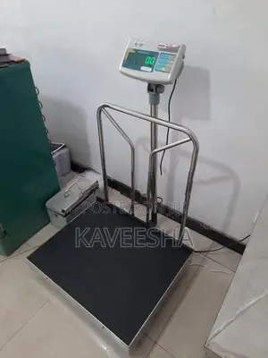 Electronic Scale