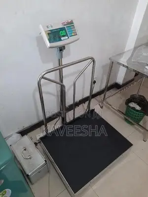 Electronic Scale