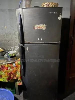 Singer Fridge
