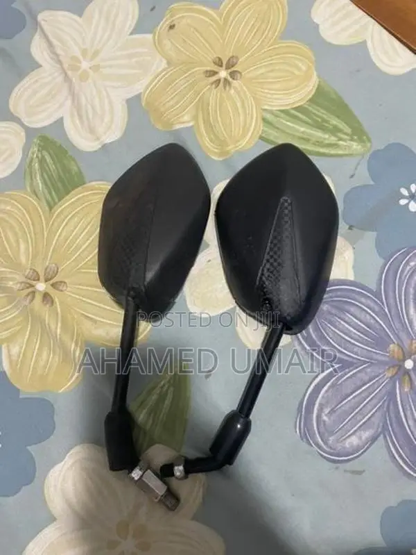 Suzuki Burgman Side Mirror
