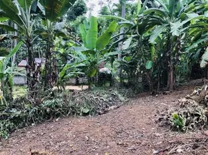 Land for Sale Kegalle Ambanpitiya