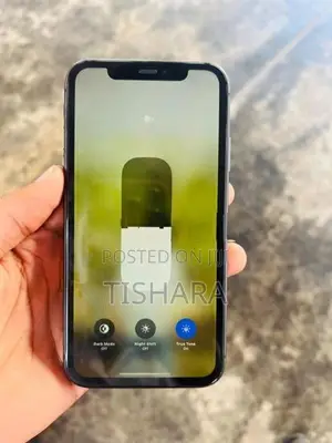 Apple iPhone 11 (Used)