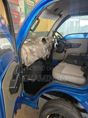 Tata Dimo Batta 2016