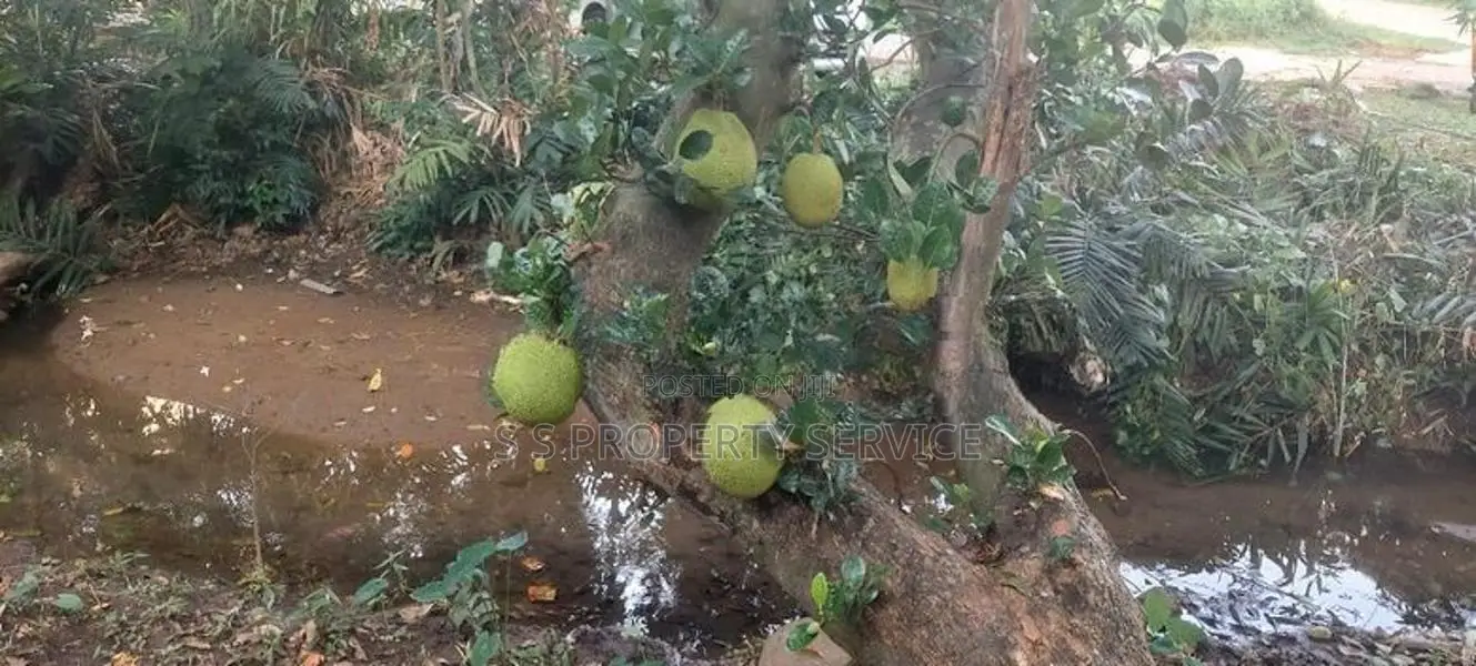 08 Perches Land for Sale - Pitakotte (SSPL-424)