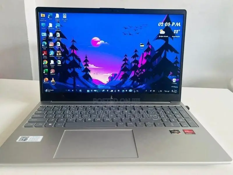HP Laptop (Ryzen 5, 512GB SSD)