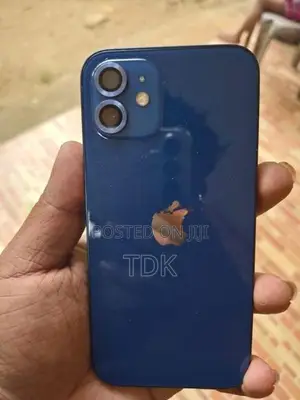 Apple iPhone 12 (Used)