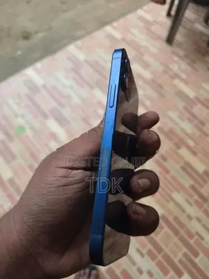 Apple iPhone 12 (Used)
