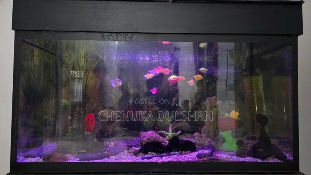 3ft Fish Tank With All Accessories