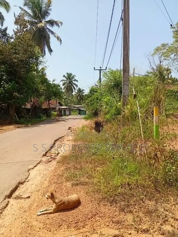 Kadawatha 12 Perches Commercial Land for Sale (SSPL-425)