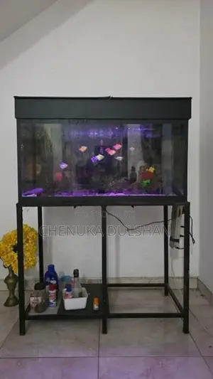 3ft Fish Tank With All Accessories