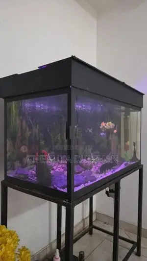 3ft Fish Tank With All Accessories