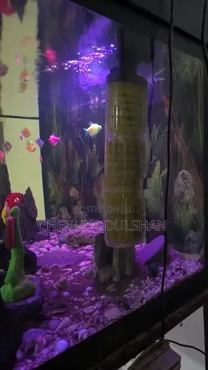 3ft Fish Tank With All Accessories