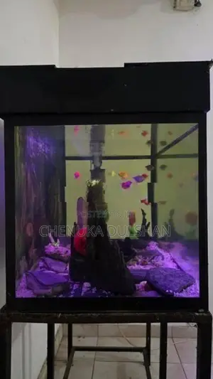 3ft Fish Tank With All Accessories