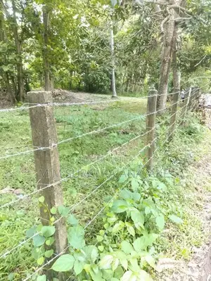 Valuable Land for Sale in Minuwangoda - Walpola