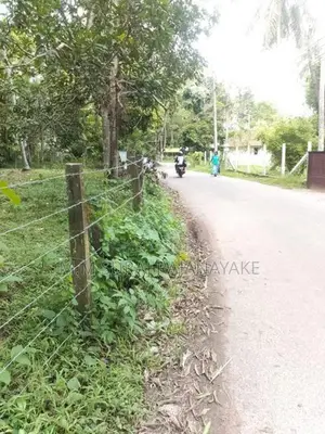 Valuable Land for Sale in Minuwangoda - Walpola