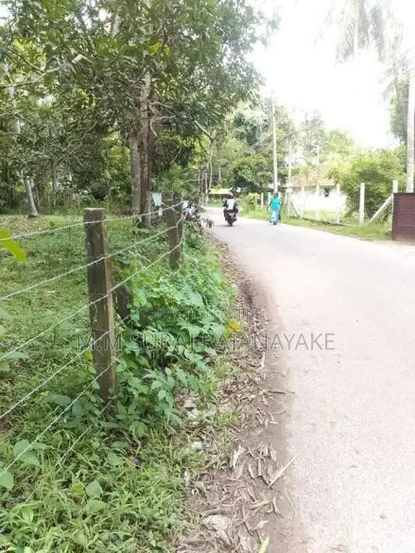 Valuable Land for Sale in Minuwangoda - Walpola