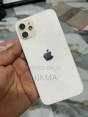 Apple iPhone 12 (Used)