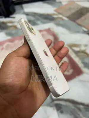 Apple iPhone 12 (Used)