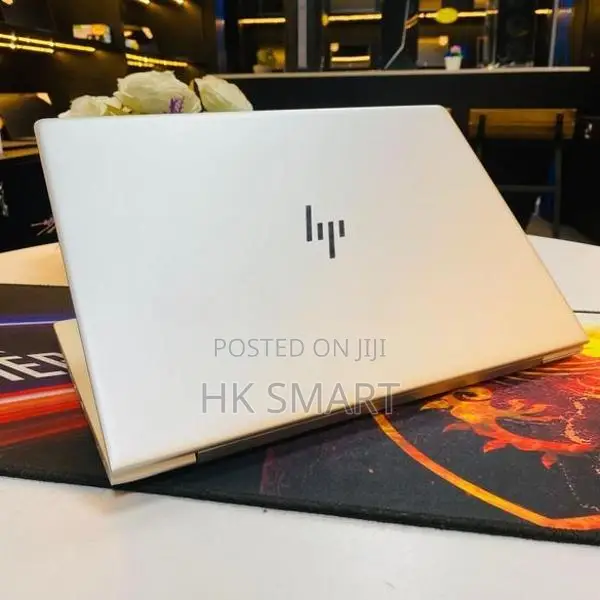 HP EliteBook 745 G6 – Ryzen 7 Pro | 2GB VGA