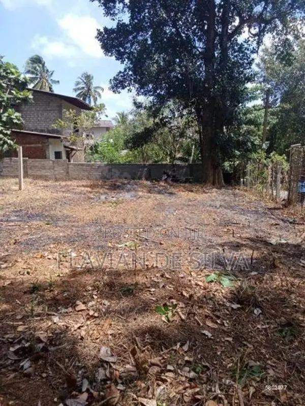 Land for Sale - Ragama Town