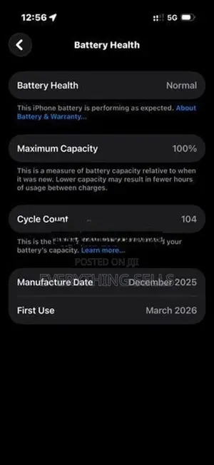 Apple iPhone 17 (Used)