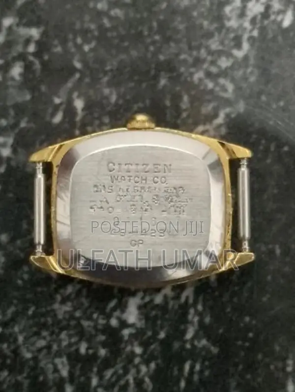 Citizen Watch Men