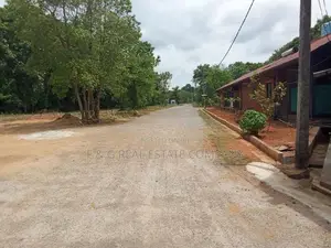 Dambulla Palwehera Land for Sale