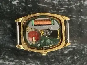Citizen Watch Men
