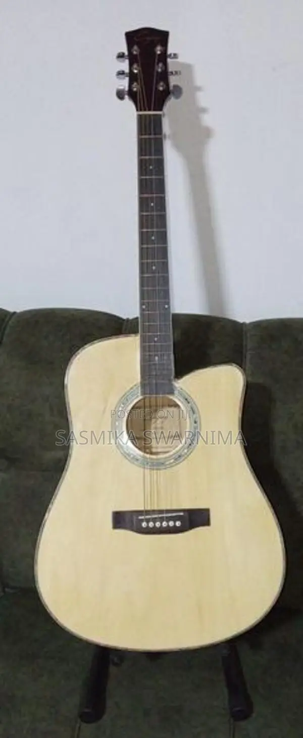 Guitar