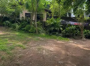 Land for Rent (Kotte)