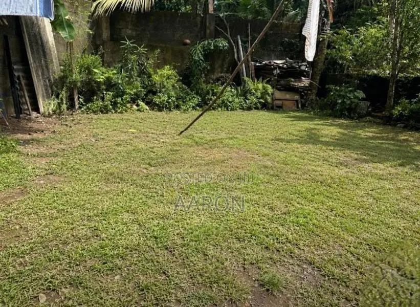 Land for Rent (Kotte)