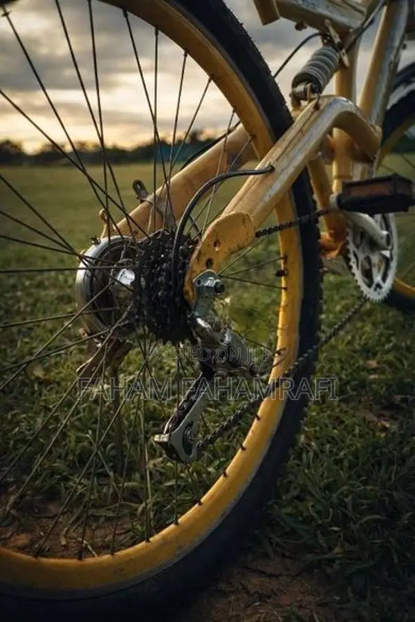 Mountain Bike
