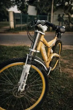 Mountain Bike