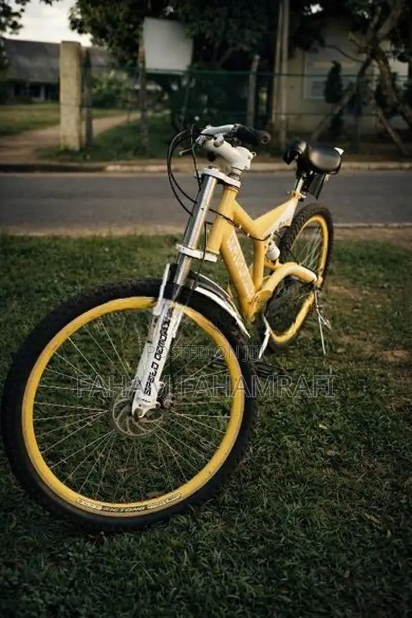 Mountain Bike
