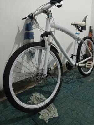 Japan Brand New Bicycle