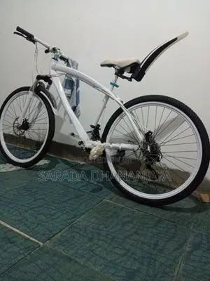 Japan Brand New Bicycle