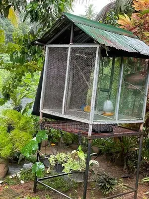 Bird Cage