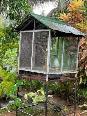 Bird Cage
