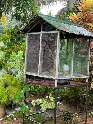 Bird Cage